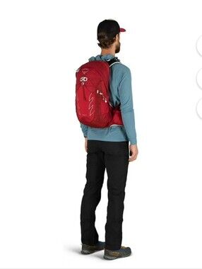 Osprey Talon 22 Hiking Pack Backpack